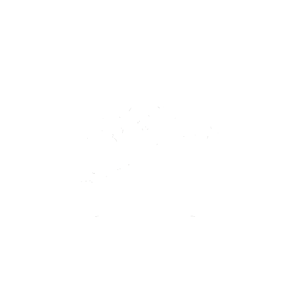 The BEE Collective