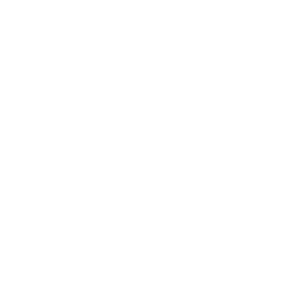 The Foundation for Black Women’s Wellness