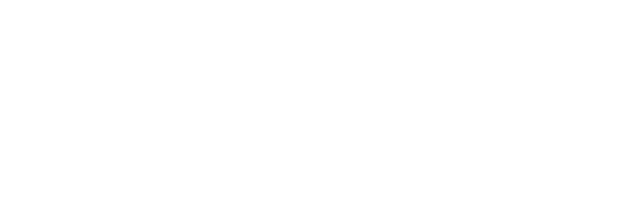 The Ellington Fund